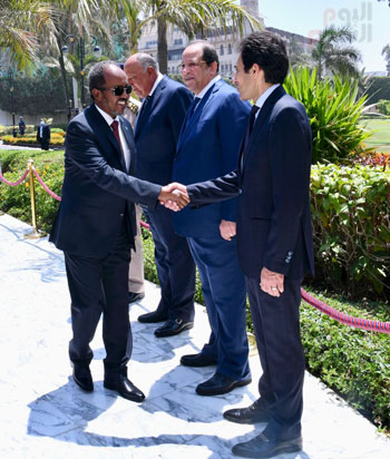 الرئيس السيسى  يستقبل الرئيس الصومالى  (9)