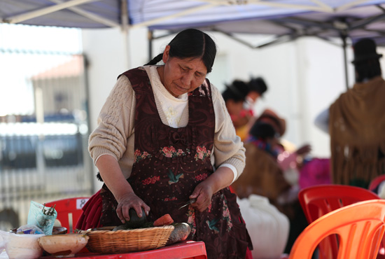 مهرجان الصلصة الحارة في إل ألتو ، بوليفيا (2)