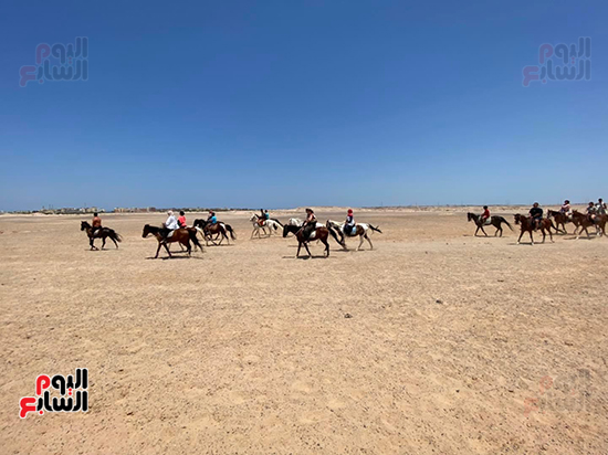 رحلات-الخيول-في-الصحراء-