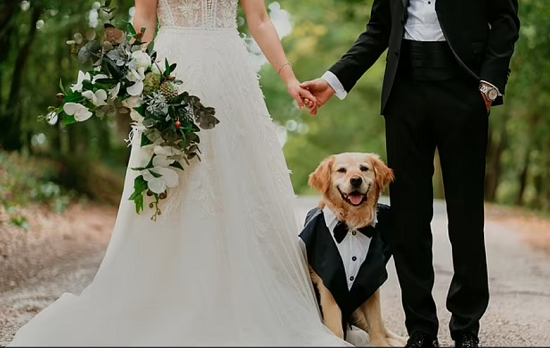 إصطحاب الكلاب بحفل الزفاف