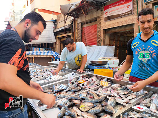 سوق-السمك-بالاسكندرية