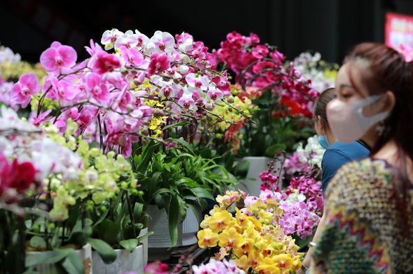 ازدهار تجارة الزهور فى عيد الحب
