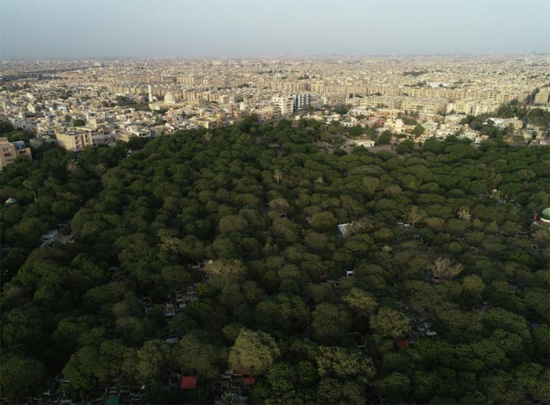 تشجير مناطق فى باكستان