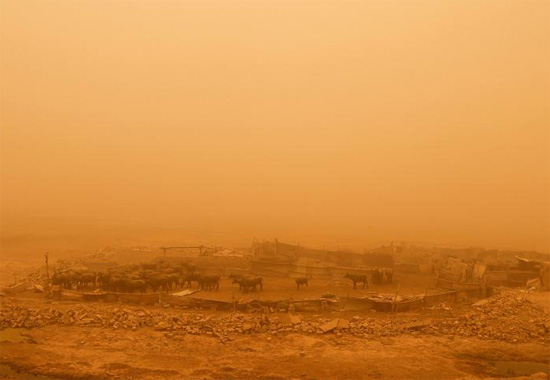 العواصف الرملية فى العراق