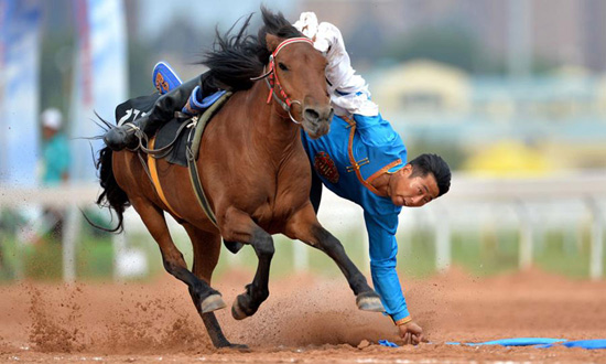 منافسة ركوب الخيل منافسة ركوب الخيل