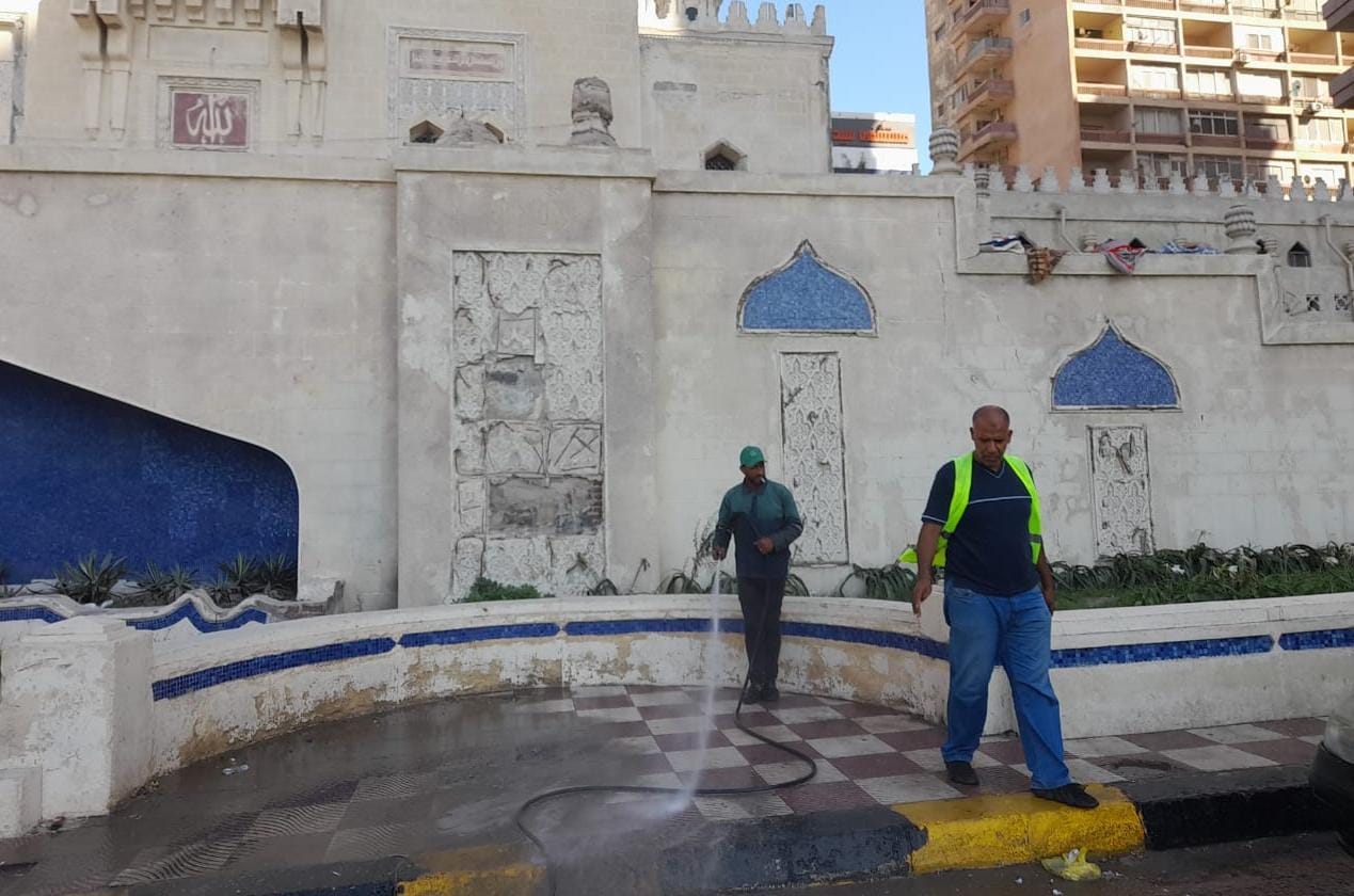 تنظيف الشوارع وتطهير المساجد بالإسككندرية (5)