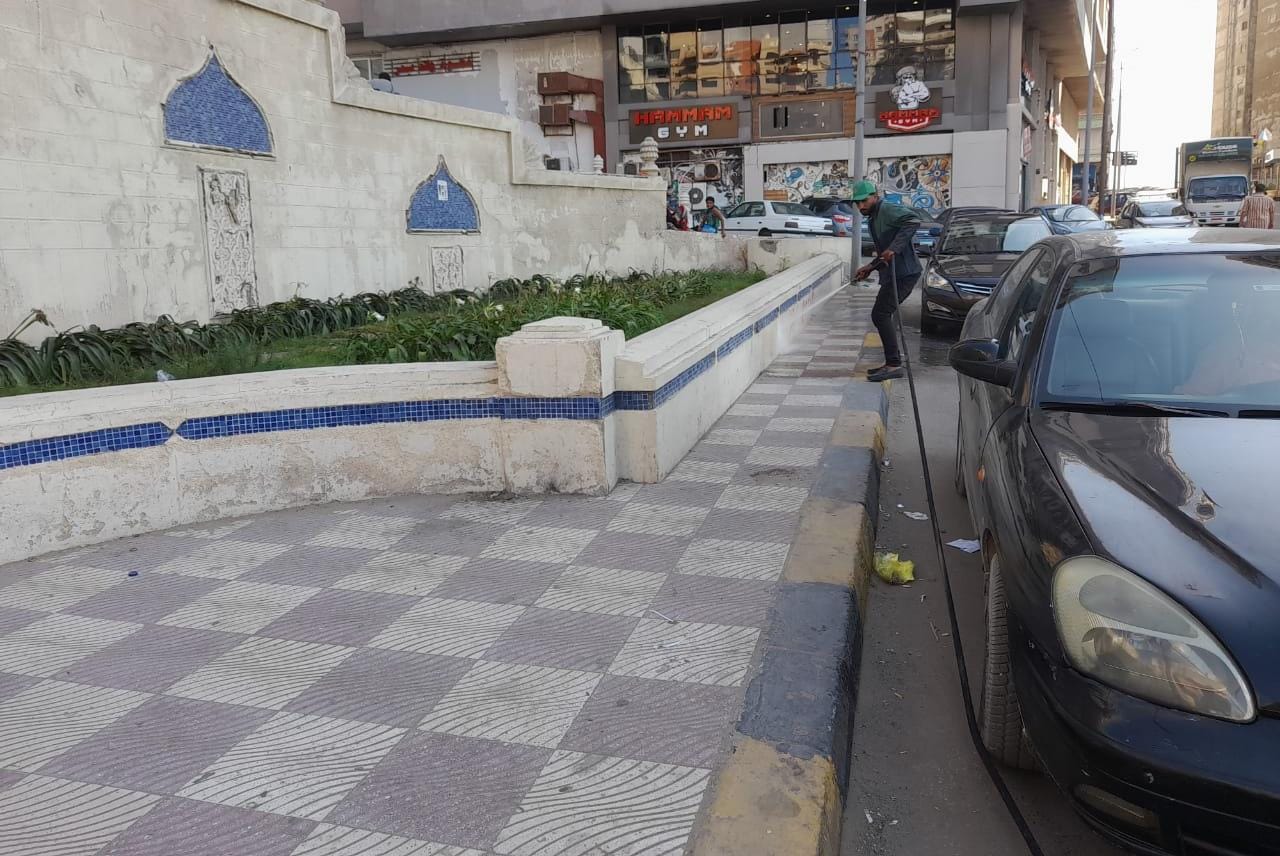 تنظيف الشوارع وتطهير المساجد بالإسككندرية (10)