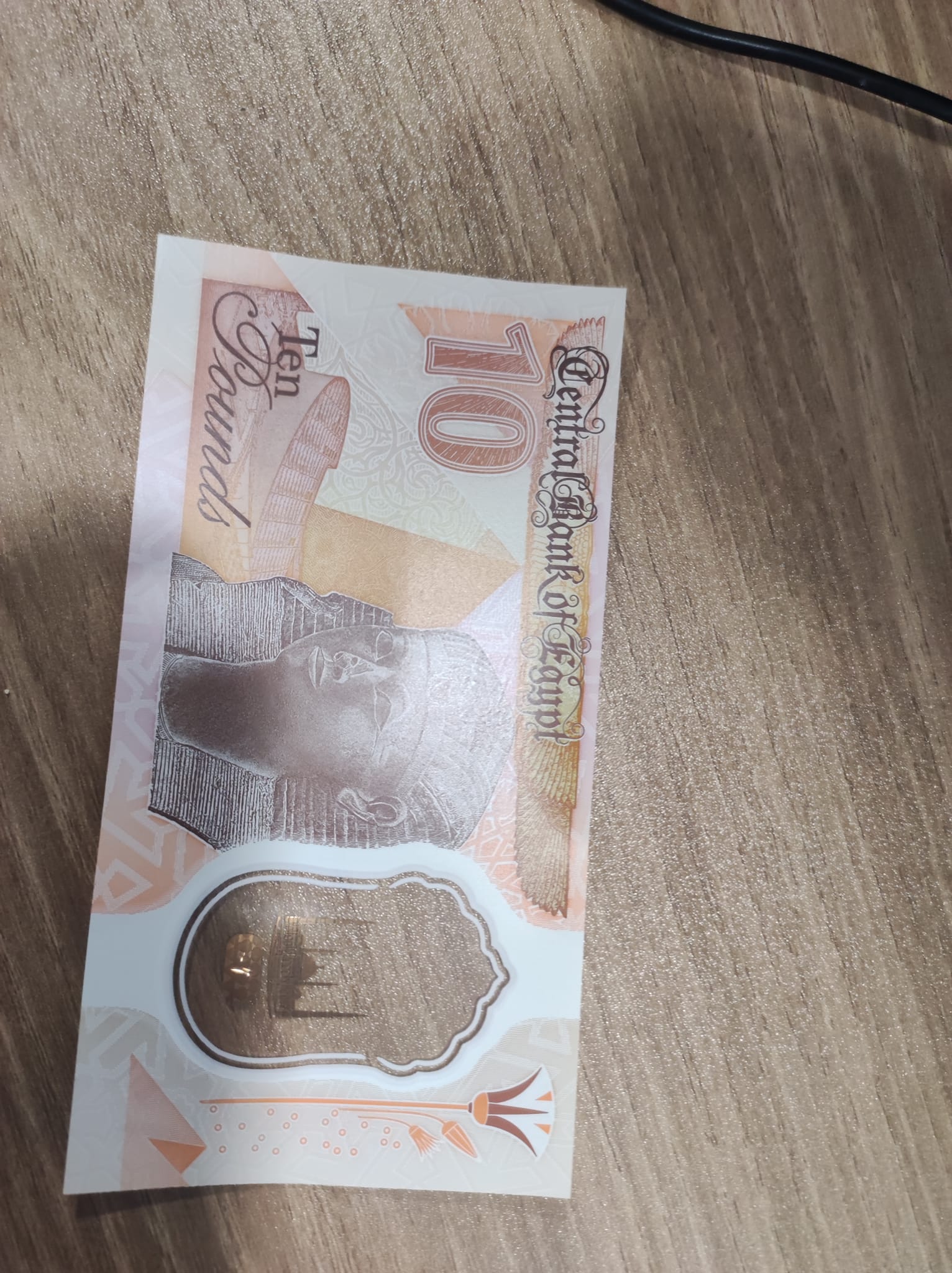 صورة الملكة حتشبسوت على العملة الجديدة