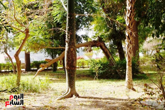 جزيرة ساحرة تضم 720 نباتا وشجرة نادرة (16)
