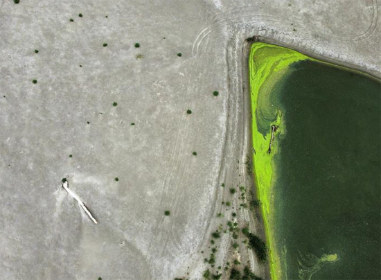 منظر يُظهر أجزاء من نهر بو الجاف الذي عانى من أسوأ جفاف منذ 70 عامًا