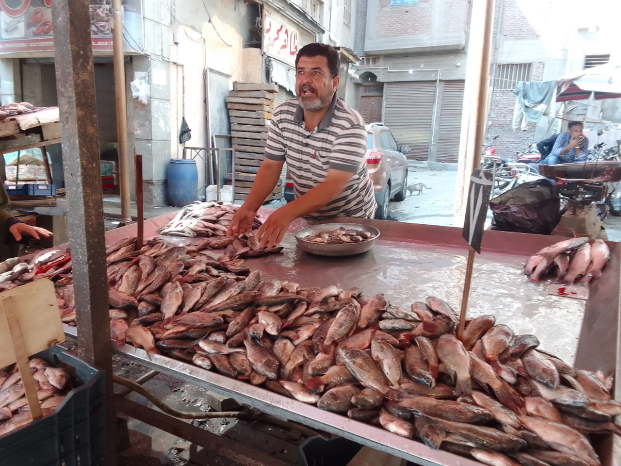 أحد بائعي الأسماك داخل محافظة دمياط  (3)