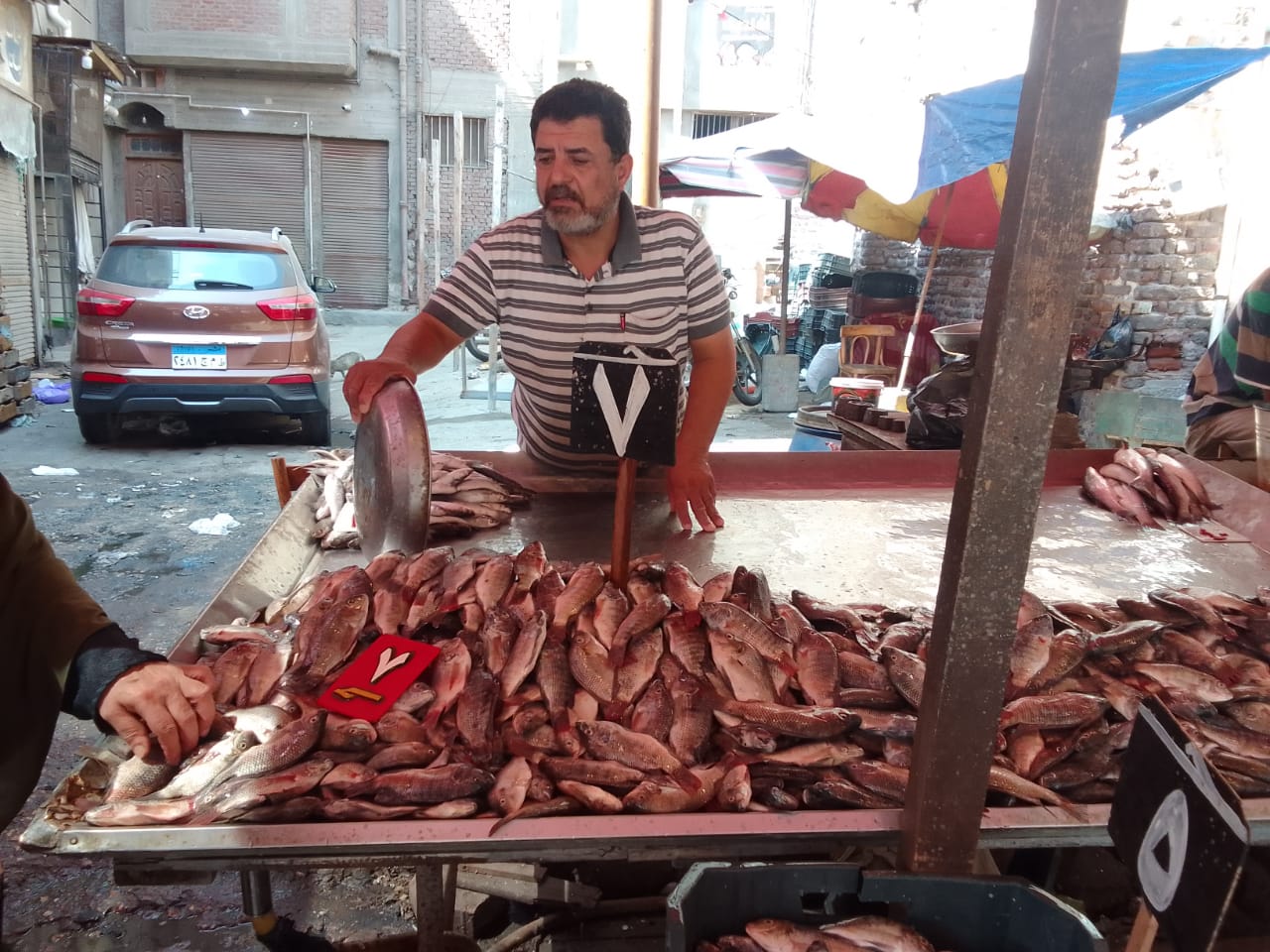 أحد بائعي الأسماك داخل محافظة دمياط  (4)