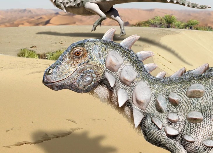 ديناصور مدرع فى امريكا اللاتينية 