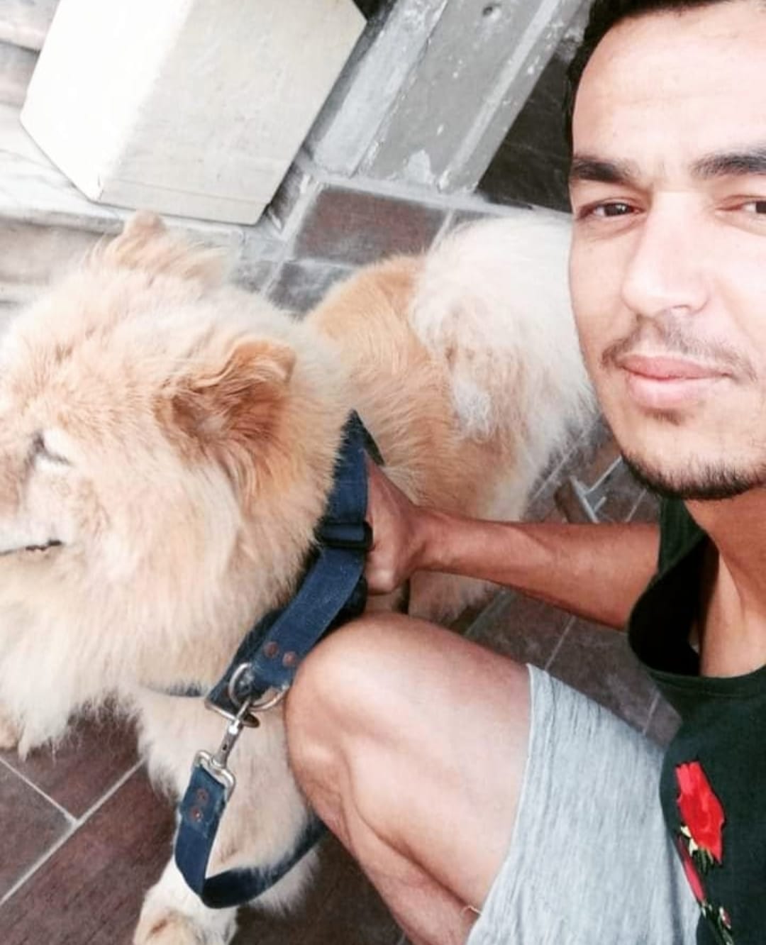 الياس جيلاصي مع كلبه