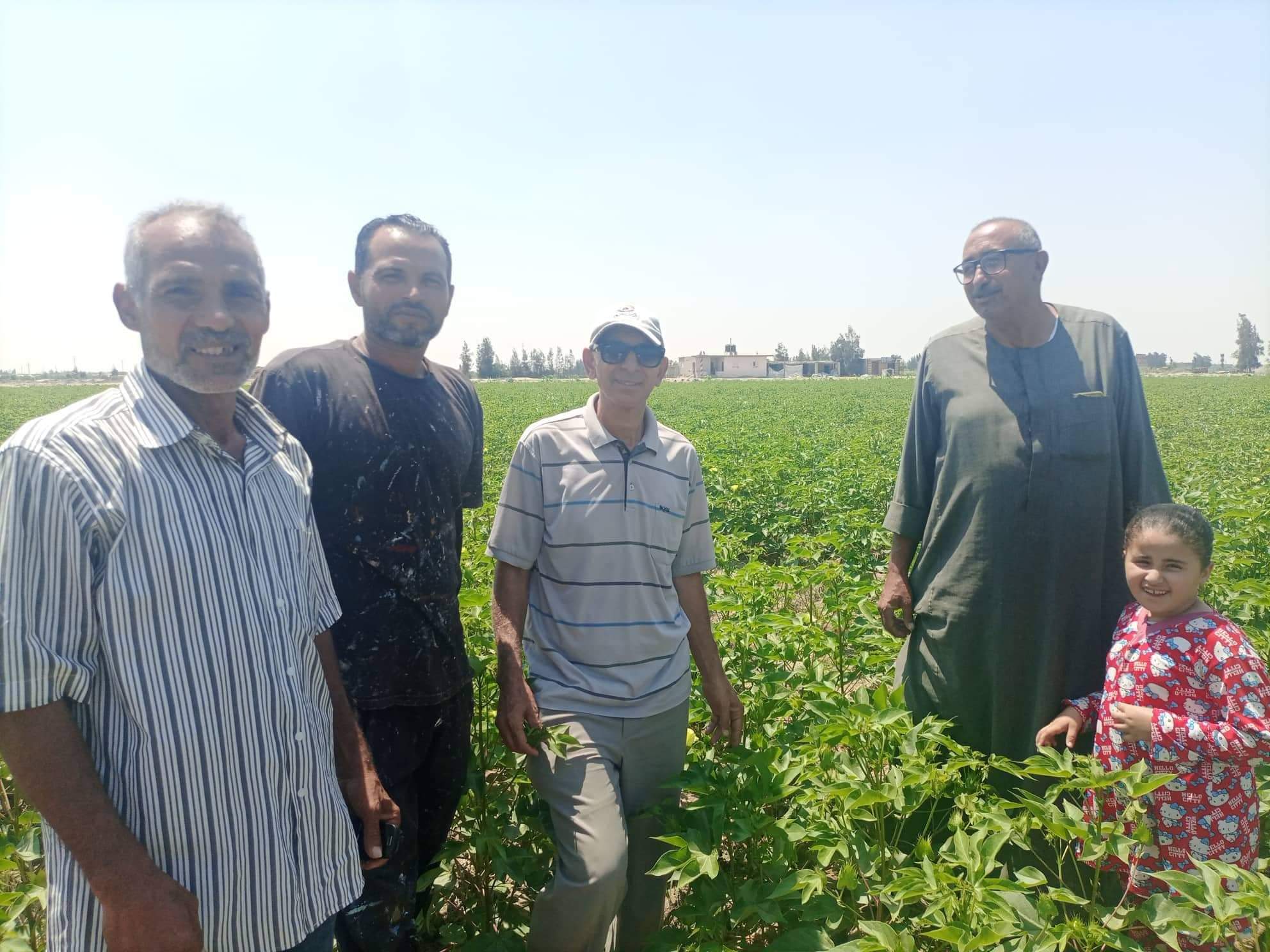 جانب من زيارة اللجنة ومرورها على محصول القطن شرق قناة السويس  (2)