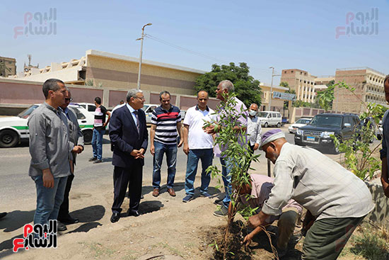 محافظ-المنيا-يشهد-زراعة-الأشجار-بإحدى-الميادين--(1)