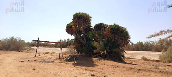 تعتبر-مخزن-لمياه-السيول-