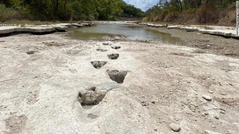 أثار ديناصورات فى نهر تكساس