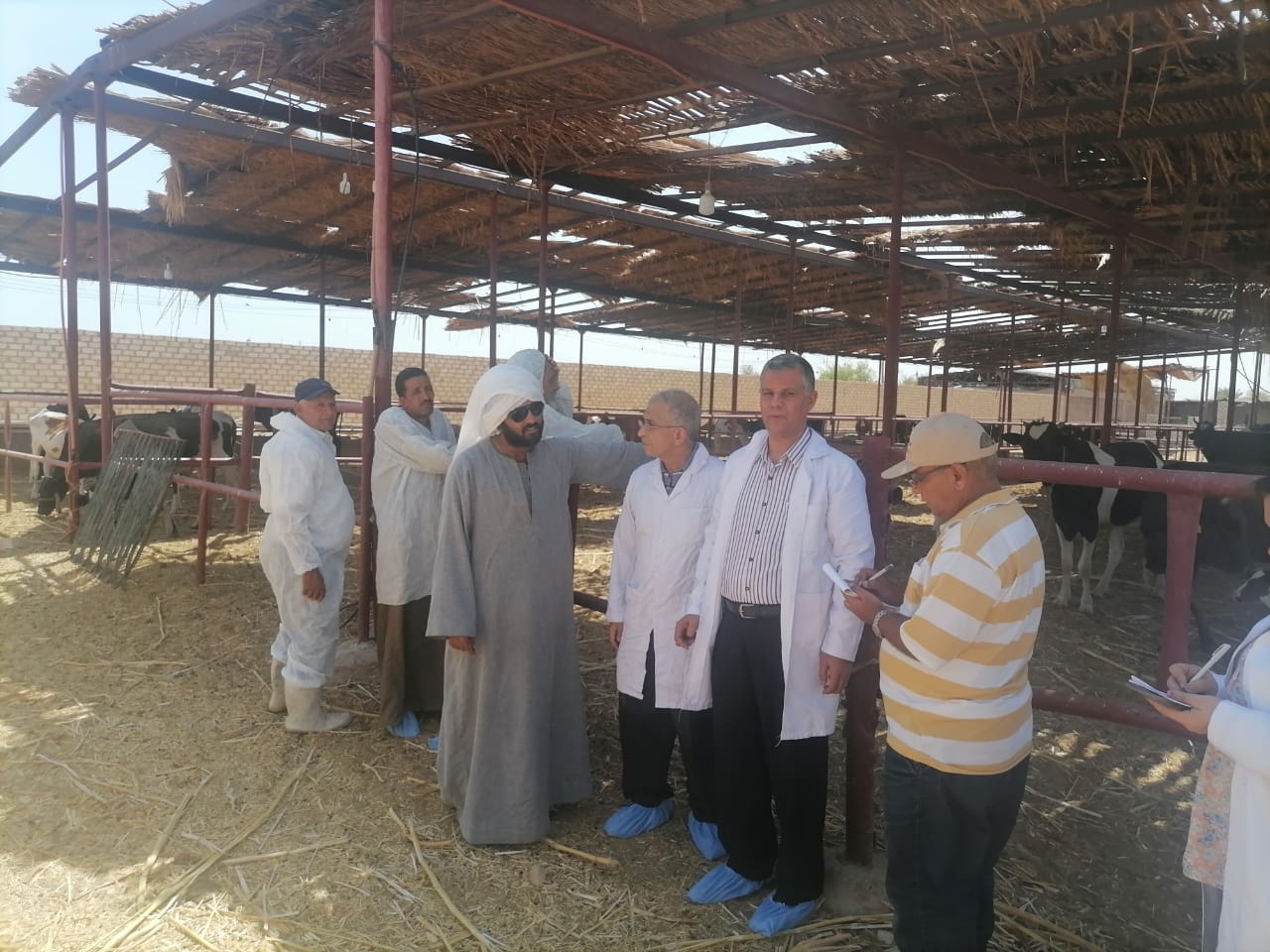 الحملة القومية الثانية للتحصين ضد مرضى الحمى القلاعية والوادى المتصدع الحملة القومية الثانية للتحصين ضد مرضى الحمى القلاعية والوادى المتصدع