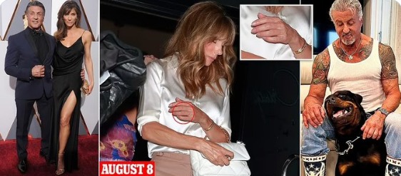 سيلفستر سيلفستر