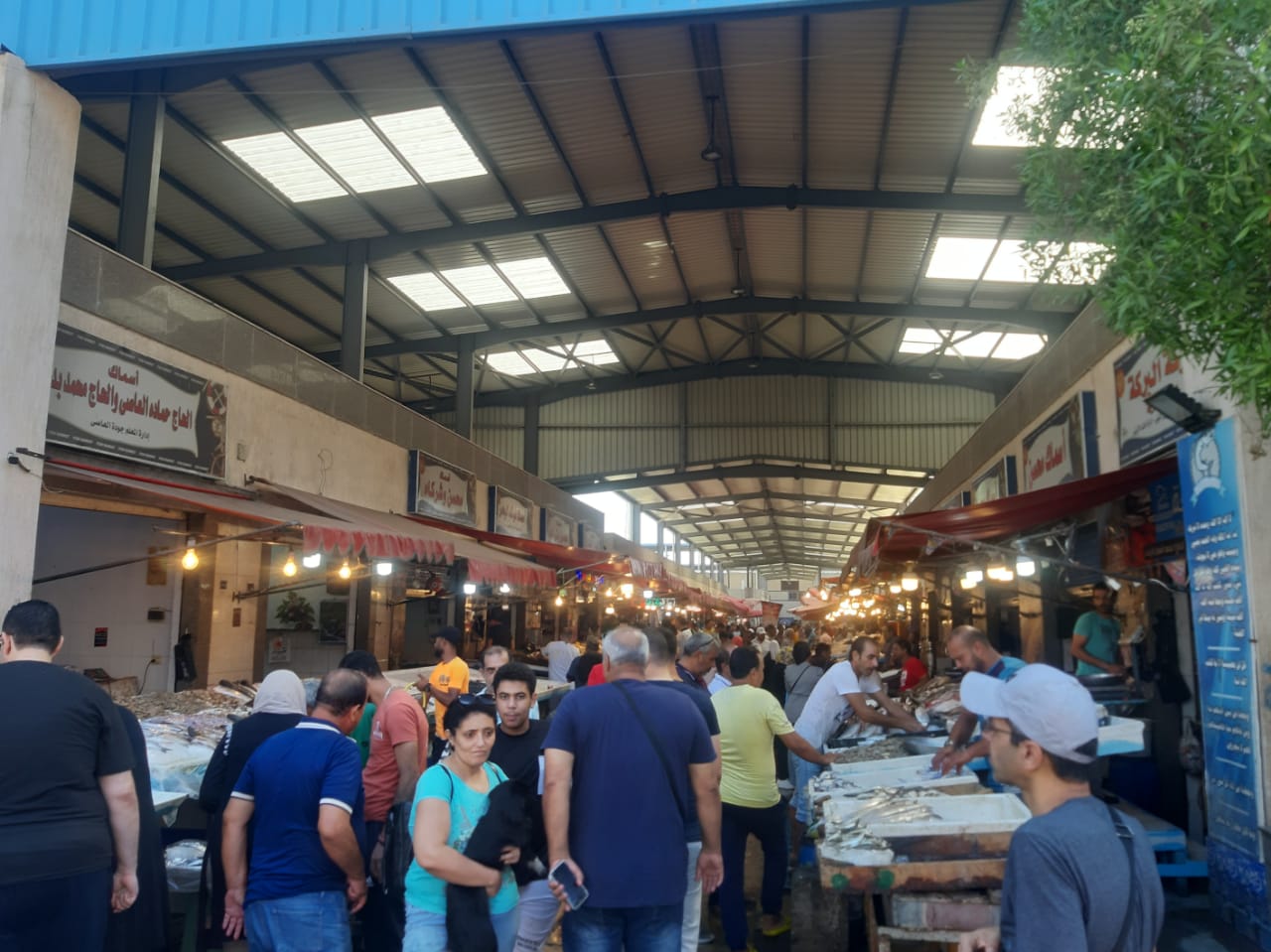 سوق السمك الجديد ببورسعيد (2)