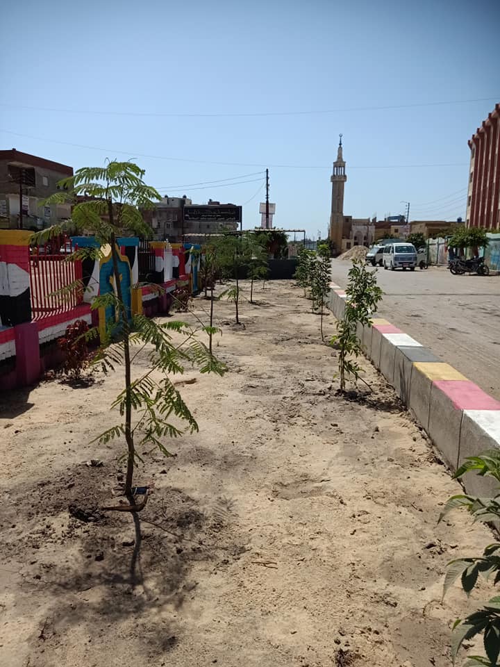زراعة الااشجار بقرية شباس عمير