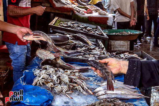 حركة البيع فى سوق السمك