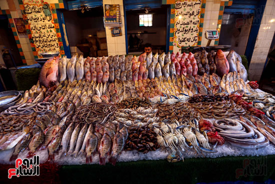 سوق السمك (3)