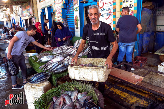 سوق السمك فى الجيزة
