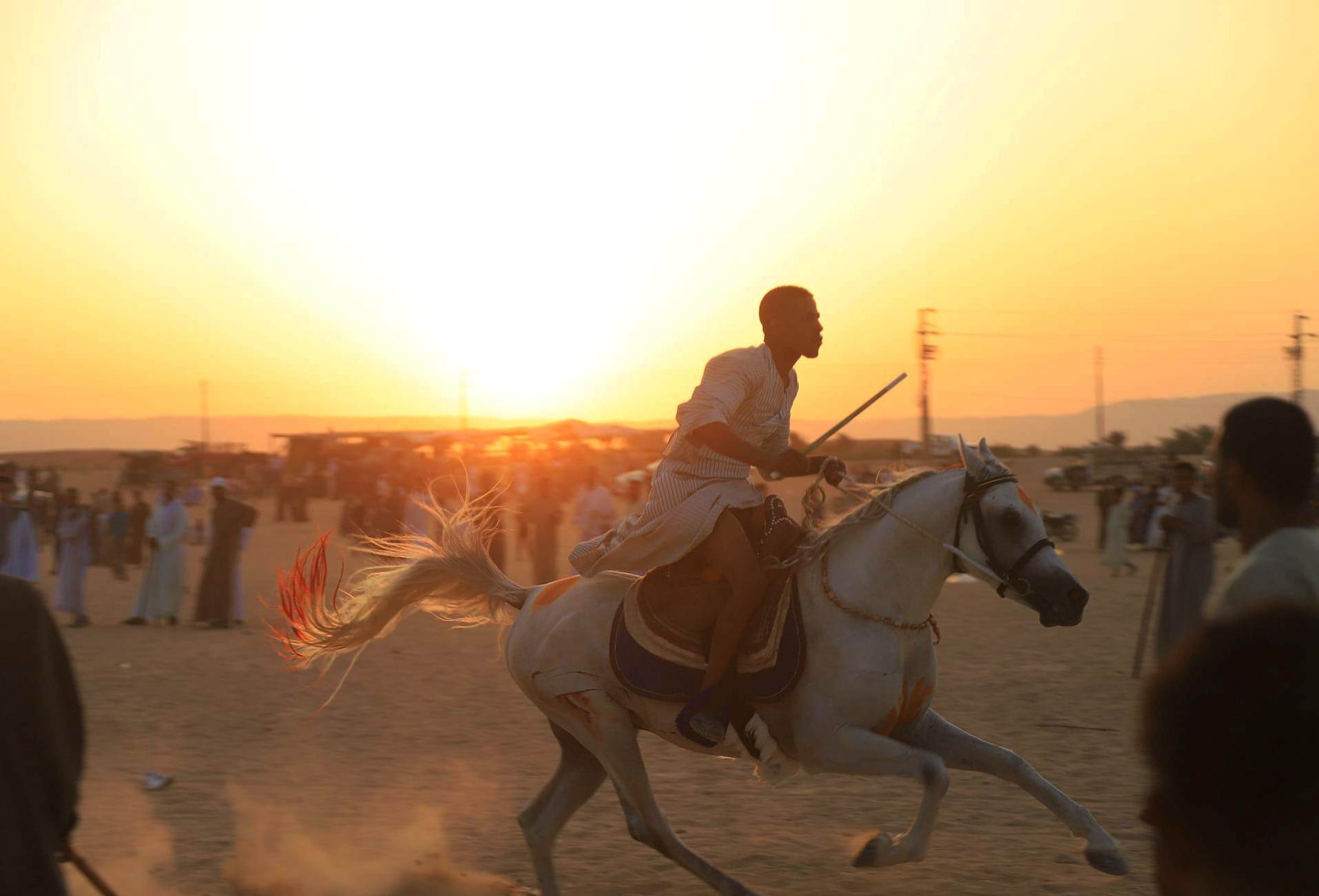 سباقات الخيول فى مولد السلطان عبد الجليل