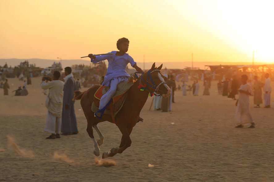 جانب من سباقات الخيول بقرية النمسا