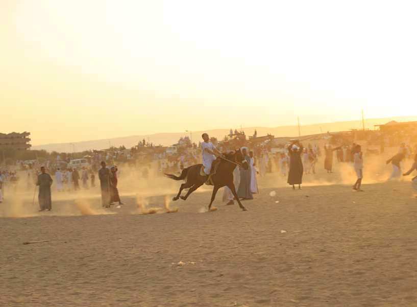 خيالة الصعيد فى مرماح مولد السلطان عبد الجليل