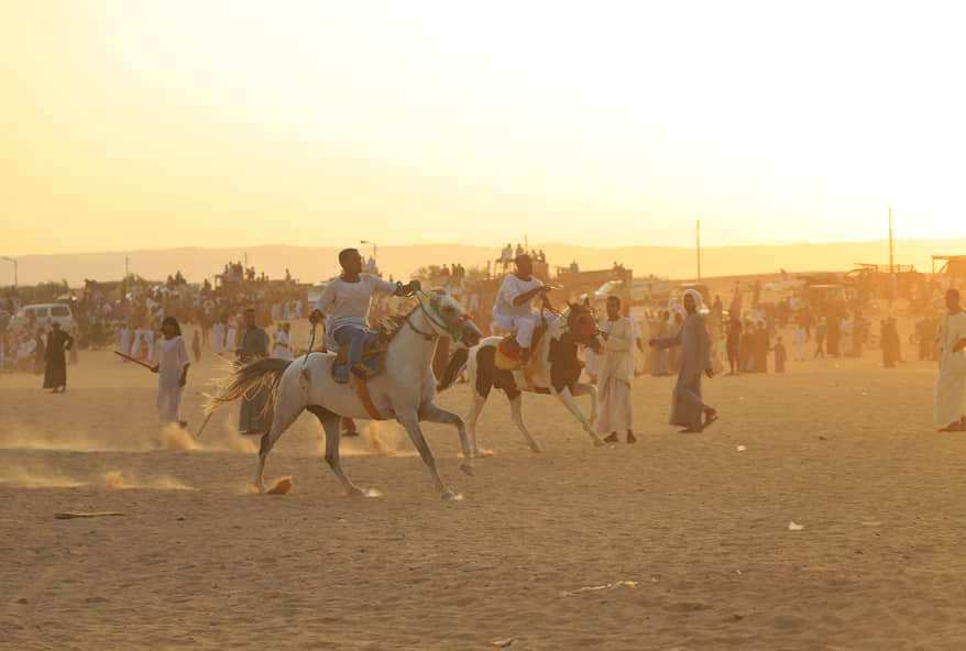 شباب الخيالة خلال مولد السلطان عبد الجليل