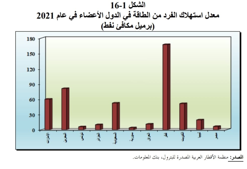 استهلاك الفرد