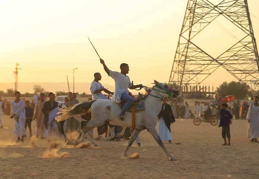 جانب من سباقات الخيول بالمولد