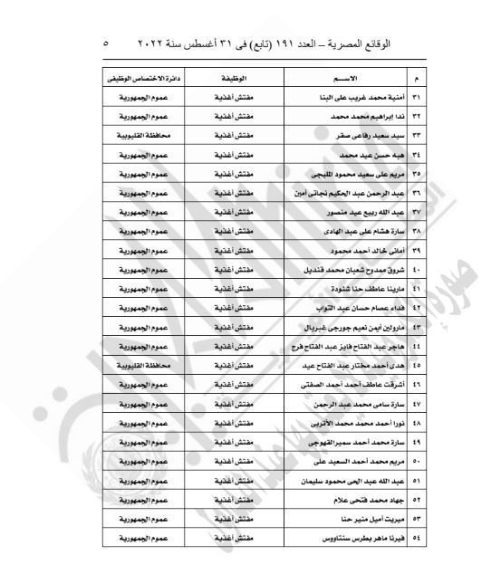 قرار وزير العدل 3