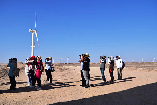 البيئة تنظم برنامجا لإعداد الكوادر الوطنية فى مجال حماية الطيور المهاجرة بالتعاون (6)