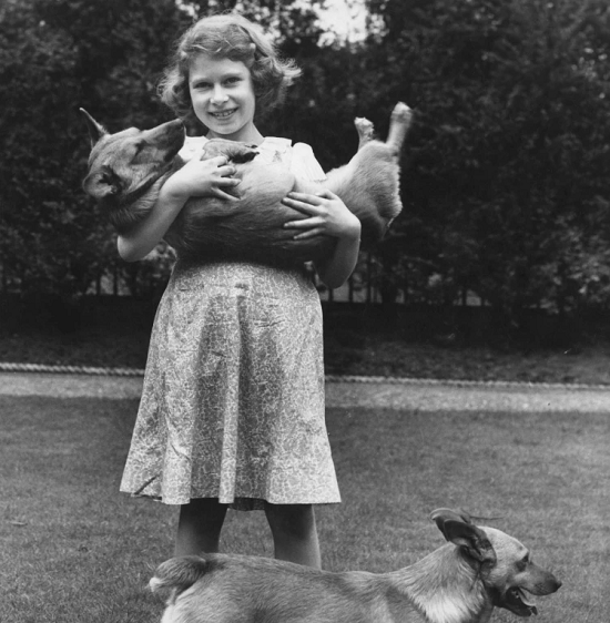 الملكة وهى طفلة مع كلابها