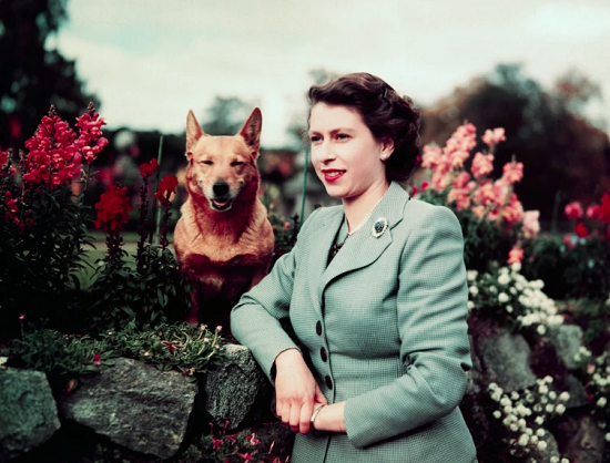 الملكة مع كلبها