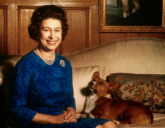 الملكة مع أحد كلابها
