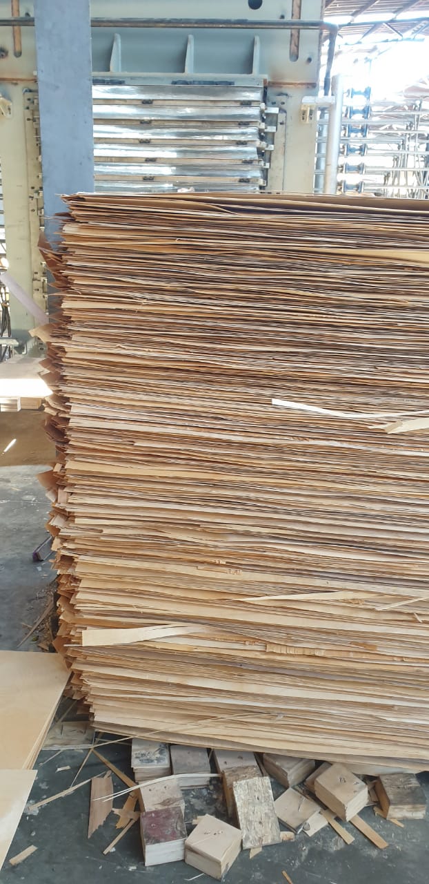 ضبط مصنع لتصنيع ألواح خشب بدون ترخيص (1)