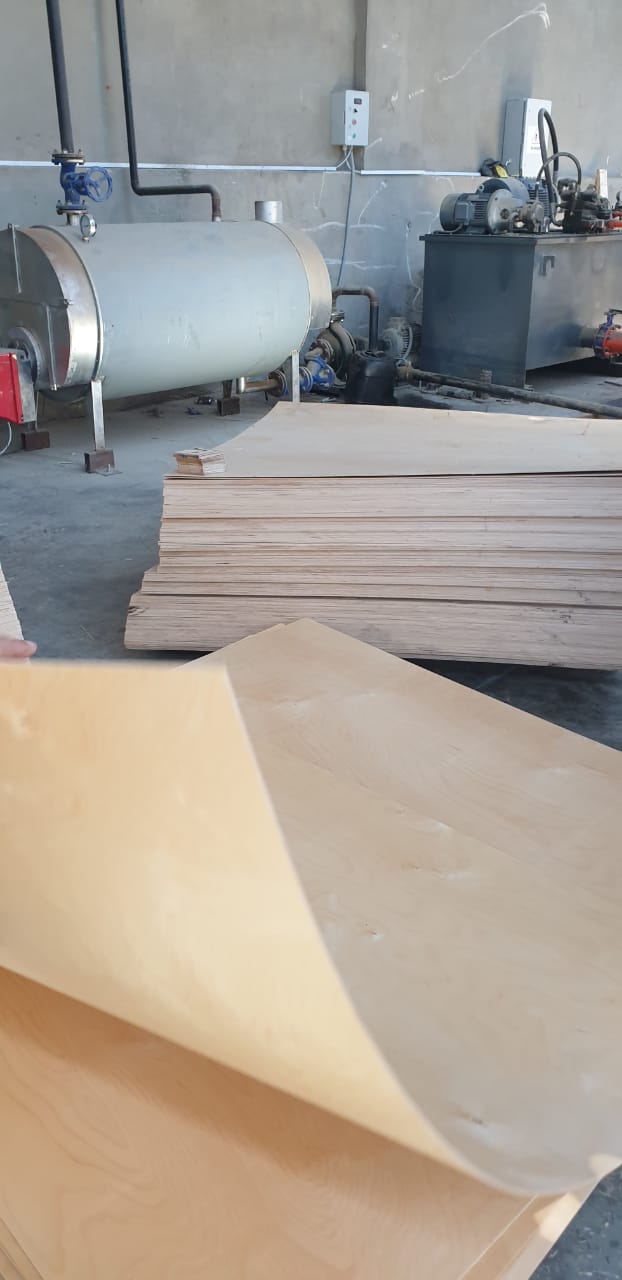 ضبط مصنع لتصنيع ألواح خشب بدون ترخيص (2)