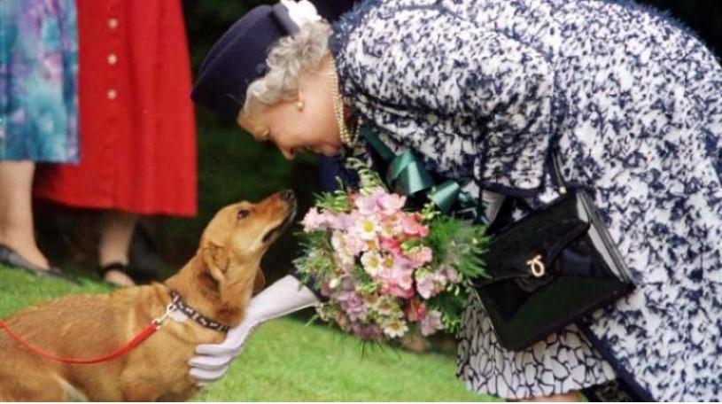 الملكة إليزابيث تداعب كلبها