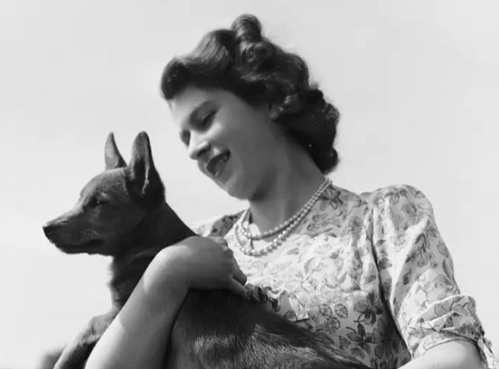 الملكة مع كلبتها سوزان