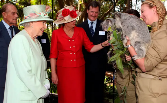 الملكة مع حيوان الكوالا