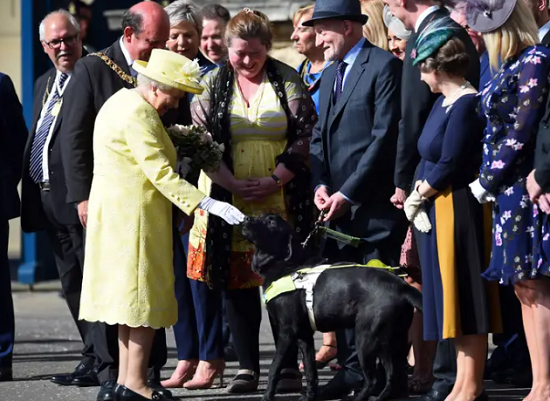 الملكة تداعب كلب