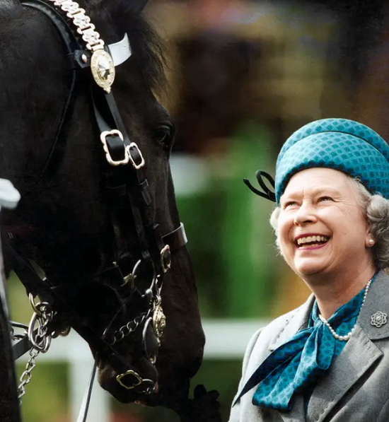صورة أخرى للملكة مع أحد الخيول