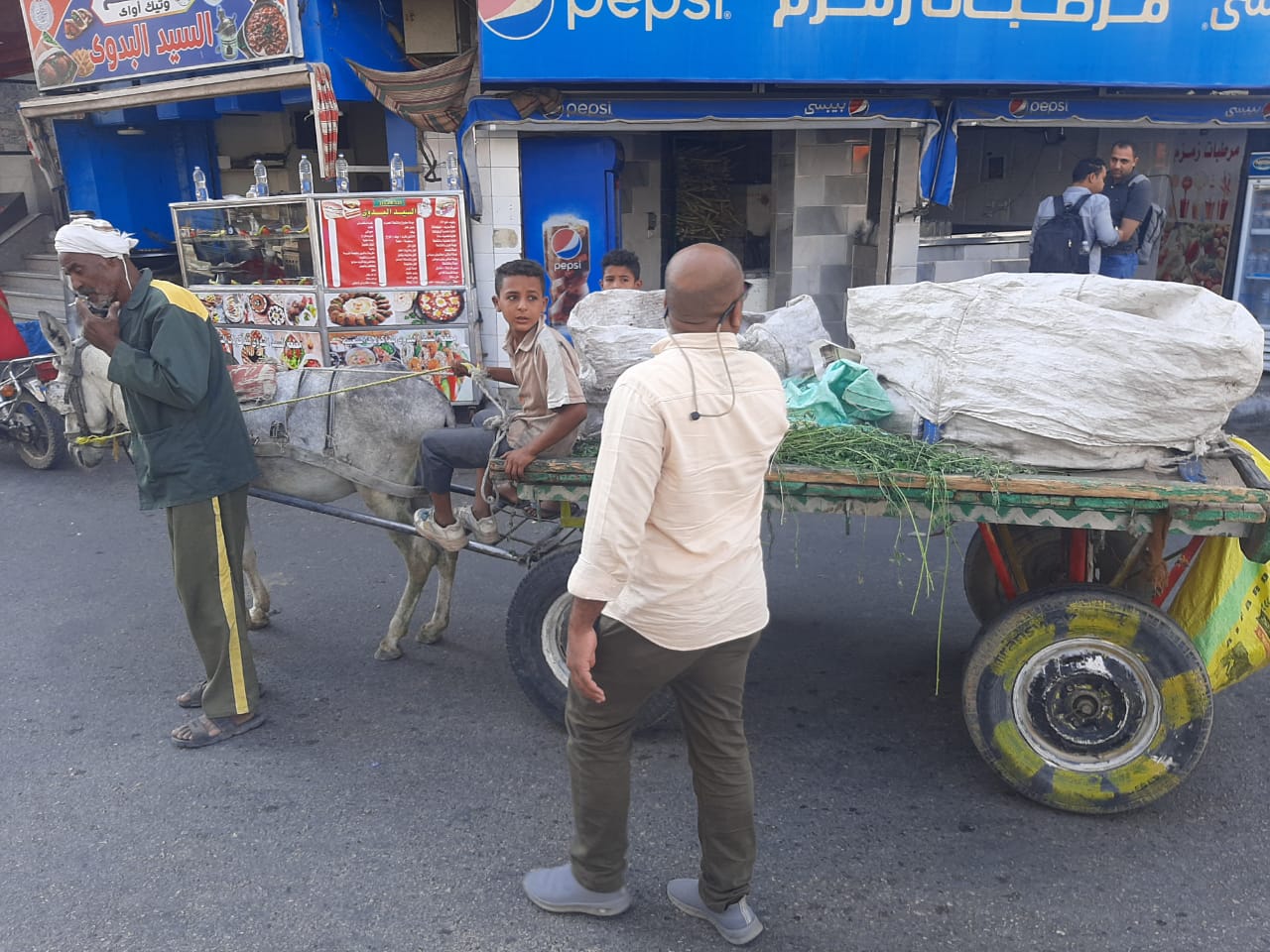 جانب من ضبط 8 عربات كارو مخالفة للوائح بالأقصر