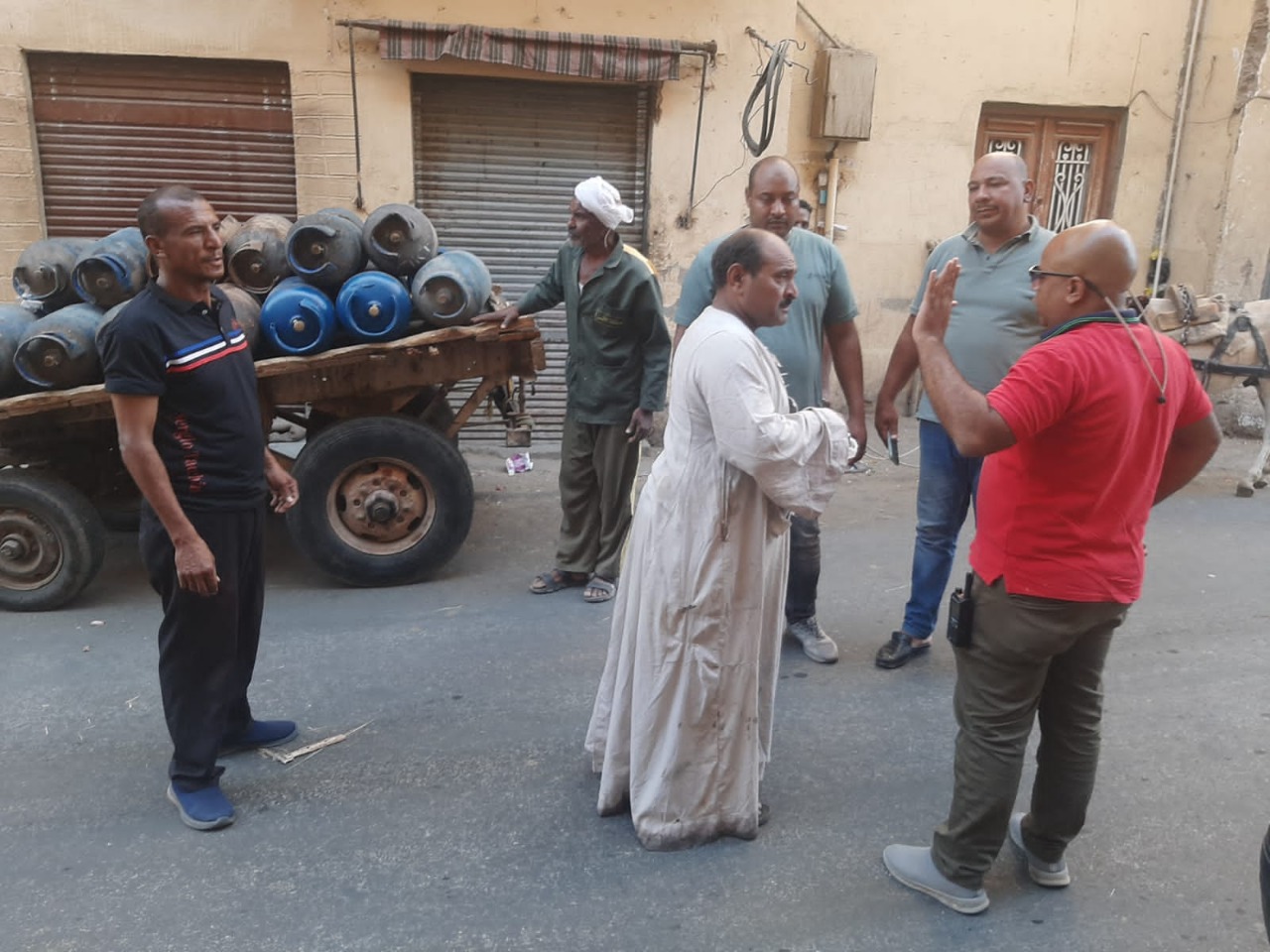 ضبط 14 عربة كارو فى حملات بمدينة الأقصر