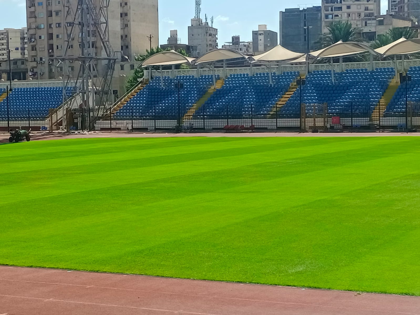 Alexandria stadium grass